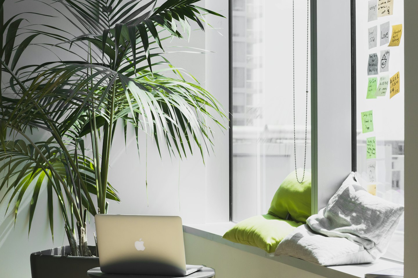Laptop auf einem Tisch neben einer Topfpflanze und einem Fenster mit Haftnotizen.